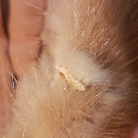 𝅺vintage blonde mink collar - Picture 3 of 4